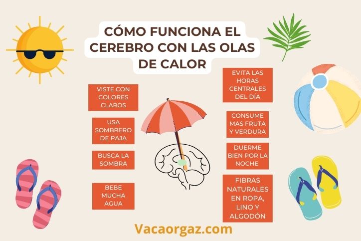 Cómo funciona el cerebro con las olas de calor