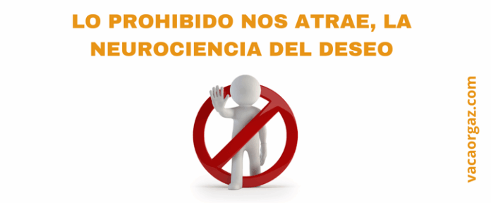 Lo prohibido nos atrae la neurociencia del deseo