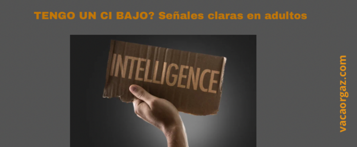 ¿Tengo un coeficiente intelectual bajo? Señales claras en adultos